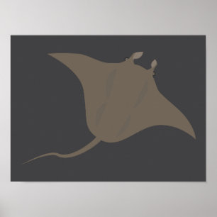 Rochen Poster