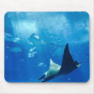 Rochen unter Wasser Mousepad