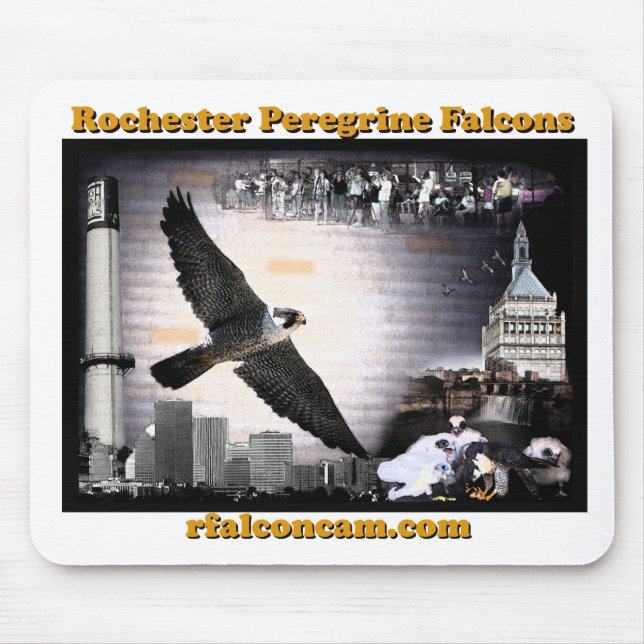 Rochester-Falken mousepad (Vorne)