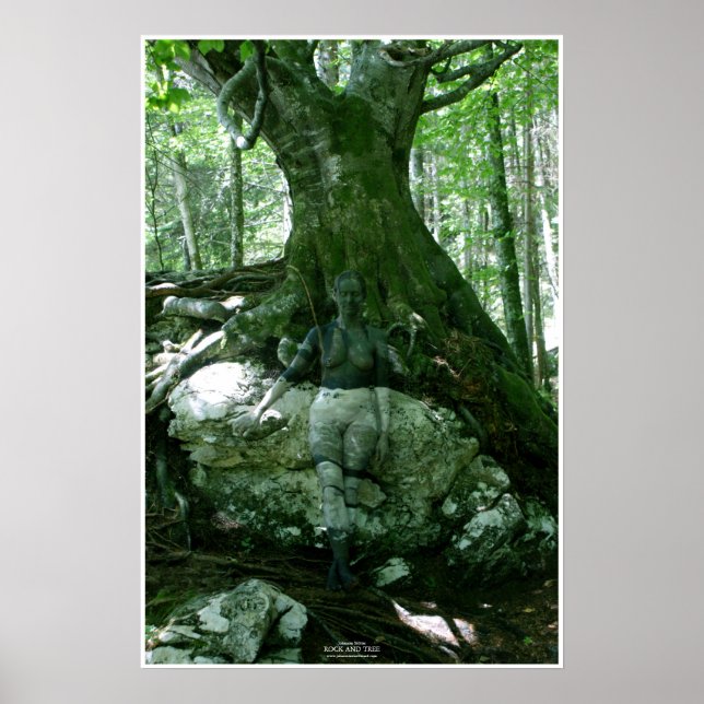 Rock and Tree by Johannes Stötter Poster (Vorne)