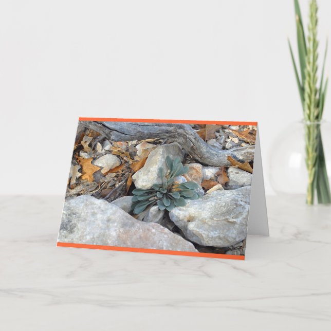 Rock Art #5 Karte (Vorderseite)