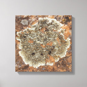 Rock Art - The Art in Nature Leinwanddruck