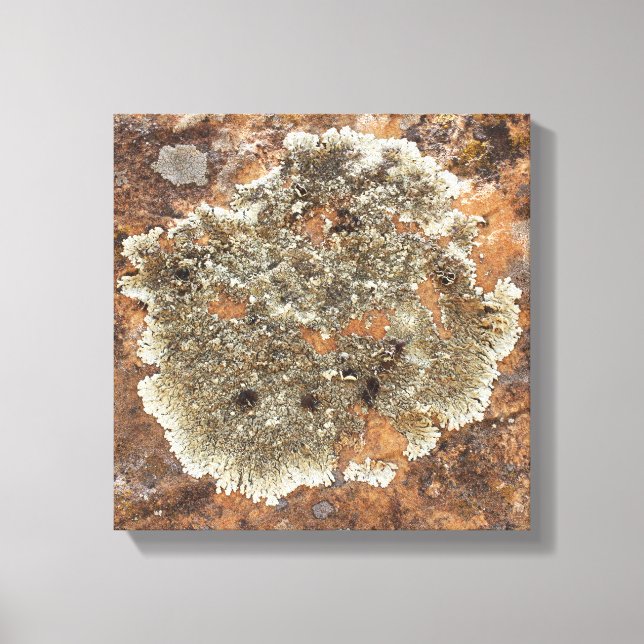 Rock Art - The Art in Nature Leinwanddruck (Vorderseite)