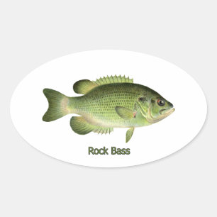 Rock Bass - Redeye Ovaler Aufkleber