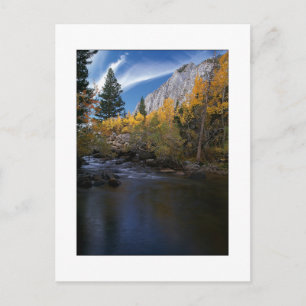 "Rock Creek Canyon Gold" Postkarte
