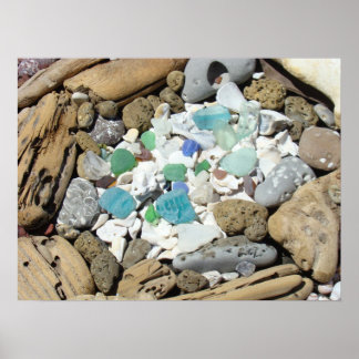 Rock Garden Art druckt Muscheln Sea Glass Fossil Poster