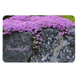 Rock Garden Dankbarkeit Magnet