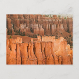 Rock Garden Postkarte