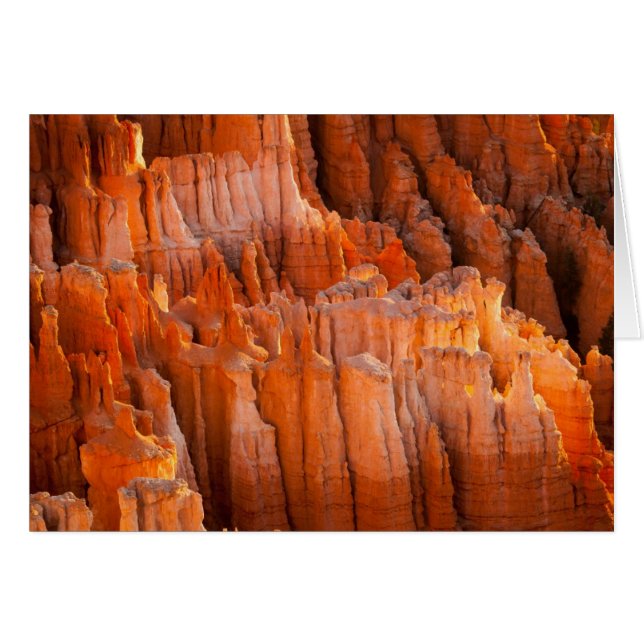 Rock Hoodoos am Morgen (Vorderseite (Horizontal))