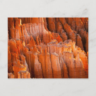 Rock Hoodoos am Morgen Postkarte