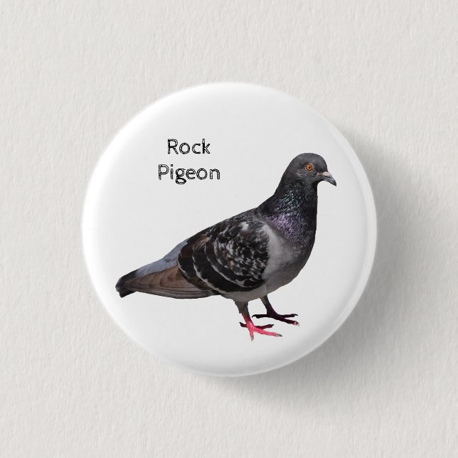Rock Pigeon Button (Vorderseite)