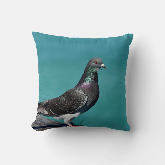 Rock Pigeon Kissen (Vorderseite)