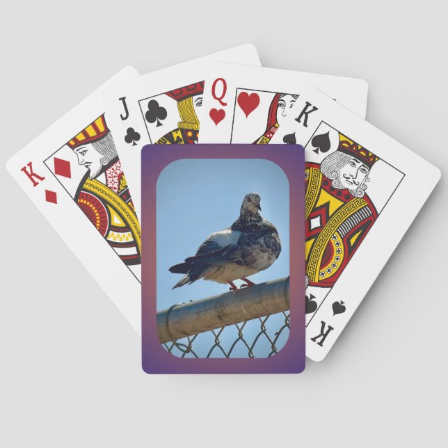 Rock Pigeon Spielkarten (Rückseite)