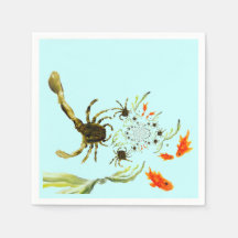 Rock Pool Crabs Funny Beach