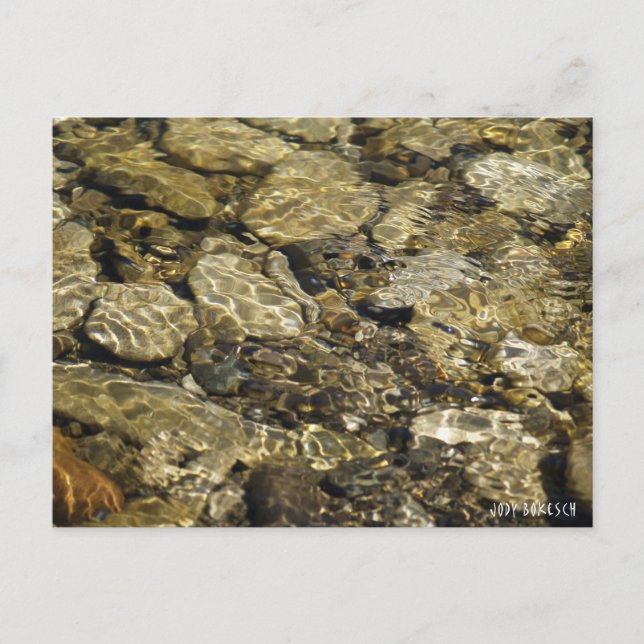 Rock Pool Nature Collection Postkarte (Vorderseite)
