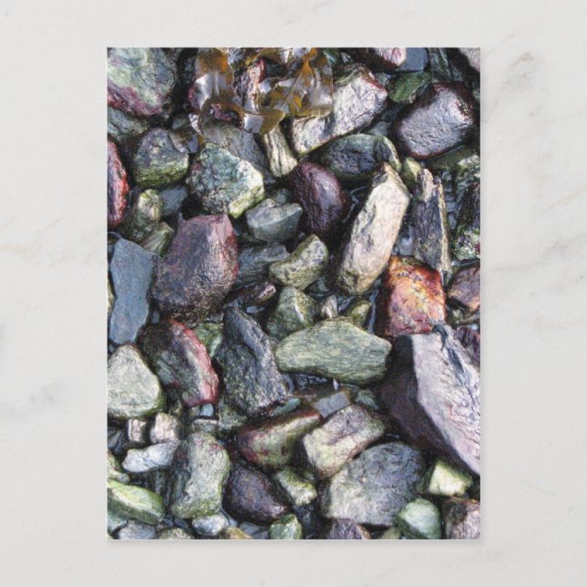 Rock solid postkarte (Vorderseite)