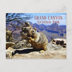 Rock Squirrel auf Rock Nibbling Snack, Grand Canyo Postkarte