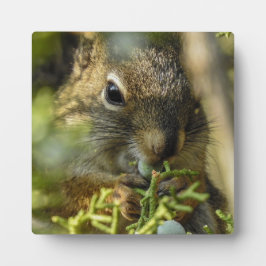 Rock Squirrel Desktop Plaque Fotoplatte