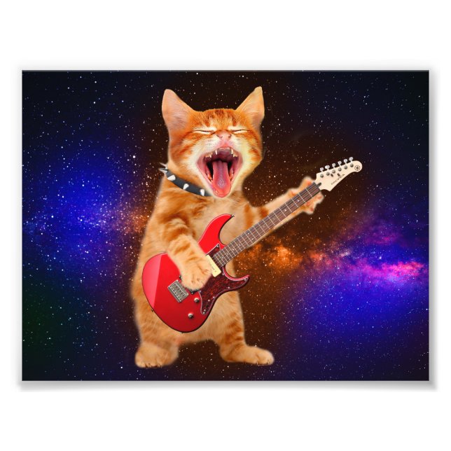 Rock-Star-Katze Fotodruck (Vorne)