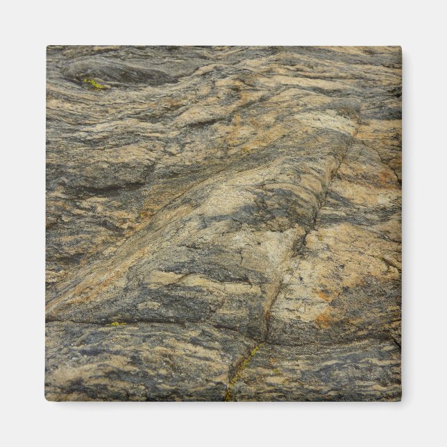 Rock von Joshua Tree Magnet (Vorne)