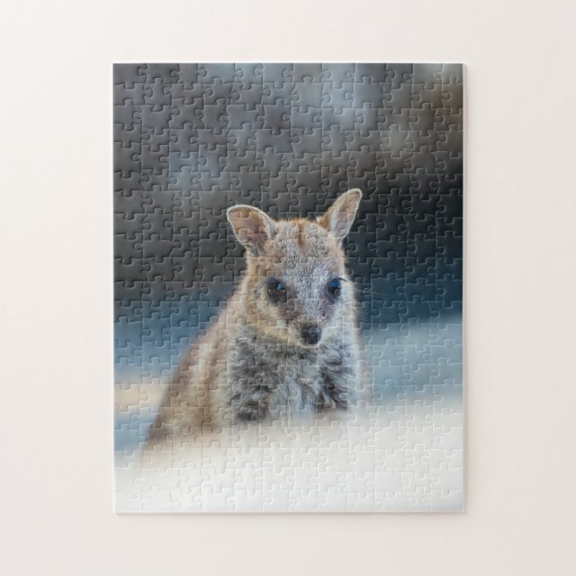 Rock Wallaby Joey Portrait – Australian Wildlife  Puzzle (Vertikal)