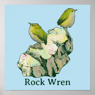 Rock Wren birds Neuseeland Poster