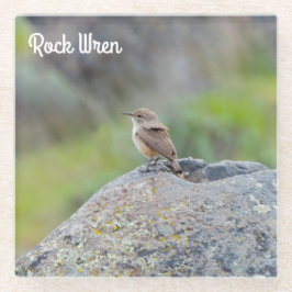 Rock Wren Glasuntersetzer