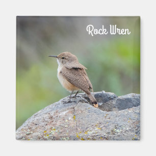 Rock Wren Magnet
