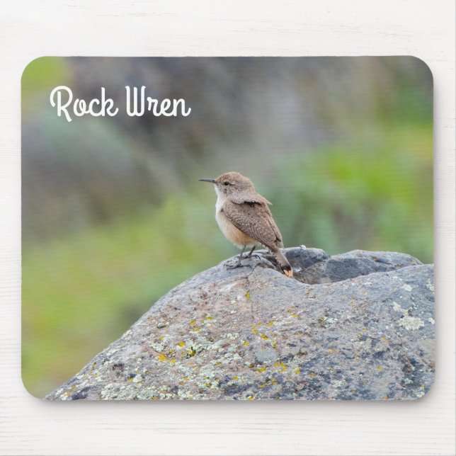 Rock Wren Mousepad (Vorne)
