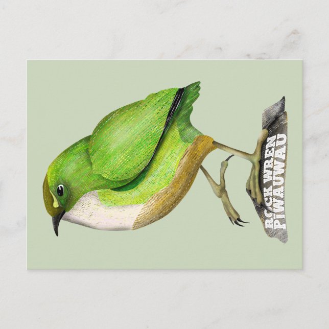 Rock Wren piwauwau NZ BIRD Postkarte (Vorderseite)