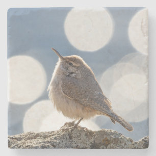 Rock Wren Stone Untersetzer