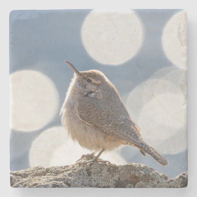 Rock Wren Stone Untersetzer (Vorderseite)