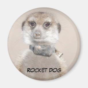 Rocket Dog Magnet