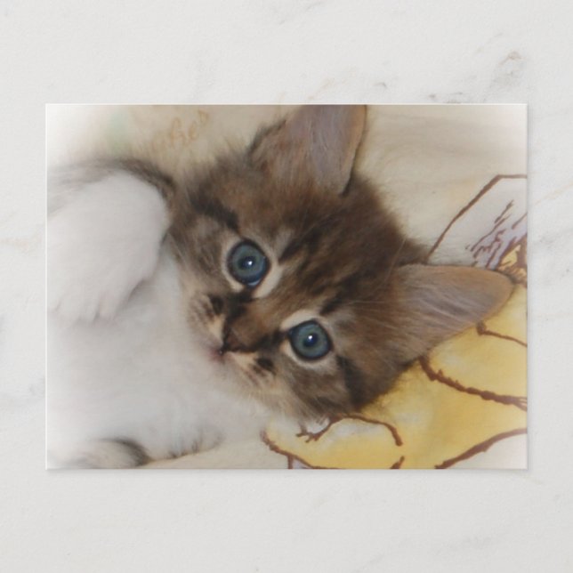 Rocket Postkarte (Vorderseite)