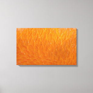 Rockfish Skin Leinwanddruck