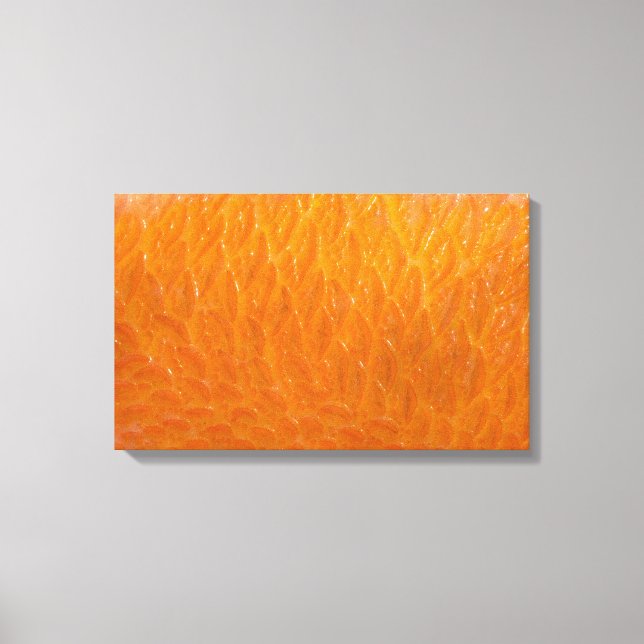 Rockfish Skin Leinwanddruck (Vorderseite)