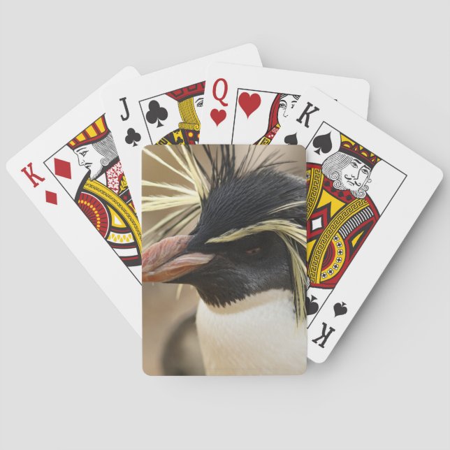 Rockhopper Penguin Deck of Cards Spielkarten (Rückseite)