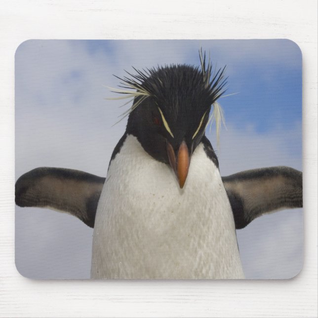 Rockhopper Penguin Eudyptes chrysocome Mousepad (Vorne)