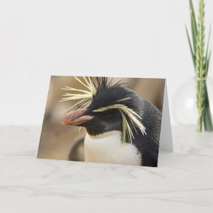 Rockhopper Penguin  Greeting Card Karte