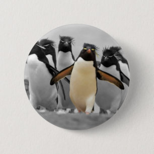Rockhopper Penguins Button
