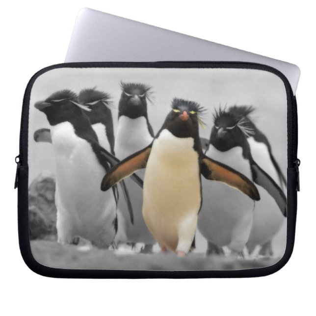 Rockhopper Penguins Laptopschutzhülle (Vorderseite)