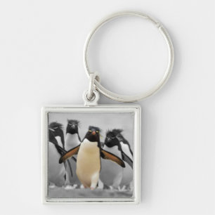 Rockhopper Penguins Schlüsselanhänger