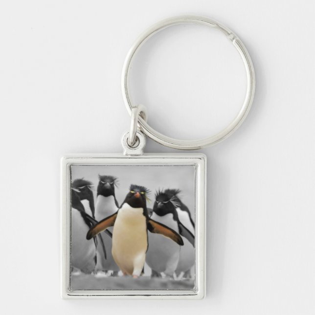 Rockhopper Penguins Schlüsselanhänger (Vorne)
