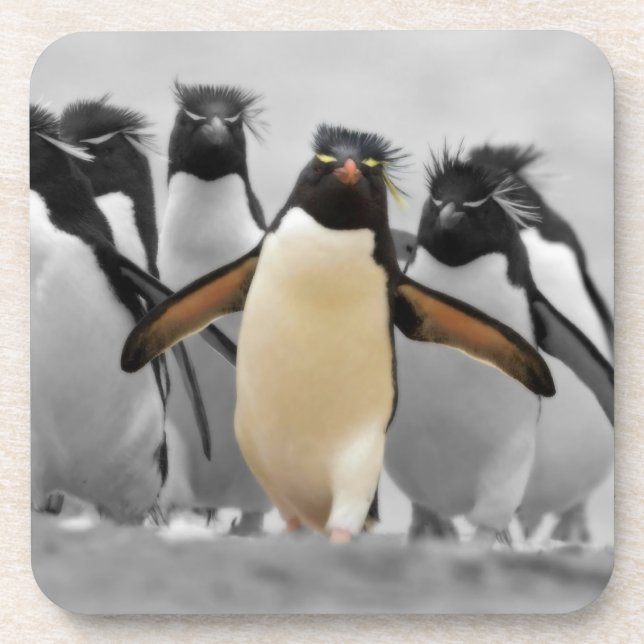 Rockhopper Penguins Untersetzer (Vorderseite)