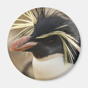 Rockhopper Pinguin-Magnet Magnet