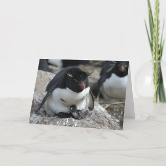 Rockhopper Pinguin mit Küken Karte