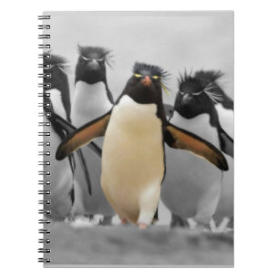 Rockhopper Pinguine Notizblock