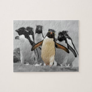 Rockhopper Pinguine Puzzle
