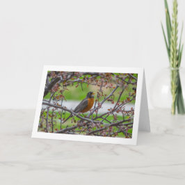 Rockin' leere, gefaltete Grußkarte Karte