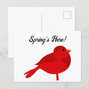Rockin’ Robin, Niedlich Red Kardinal Nature Cartoo Postkarte